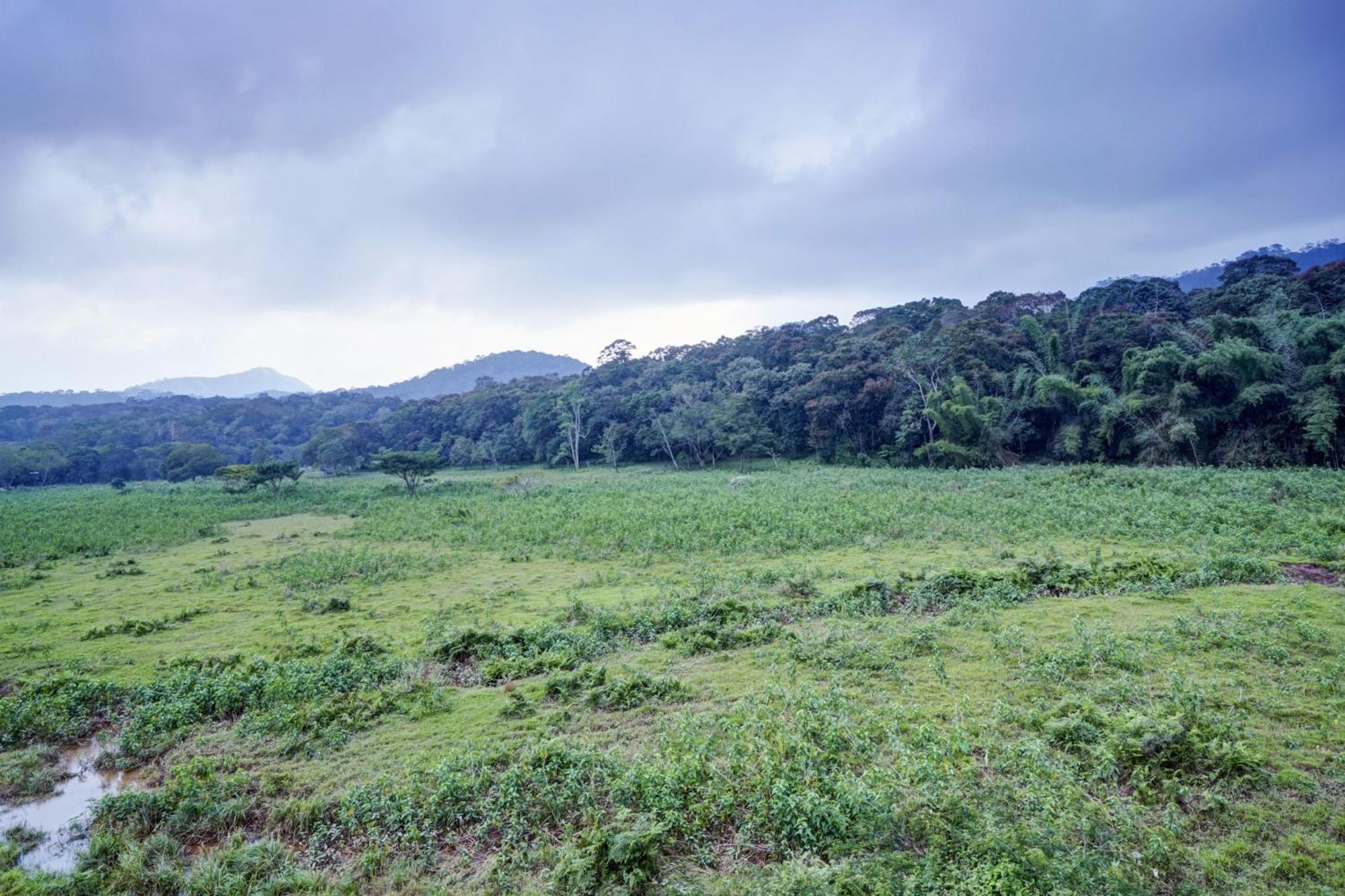 Oyo Flagship Meadow View Inn Thekkady Exteriér fotografie